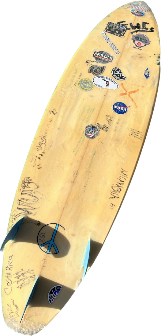 New Creations - Squash Tail (6'2" x 19" x 2.5")