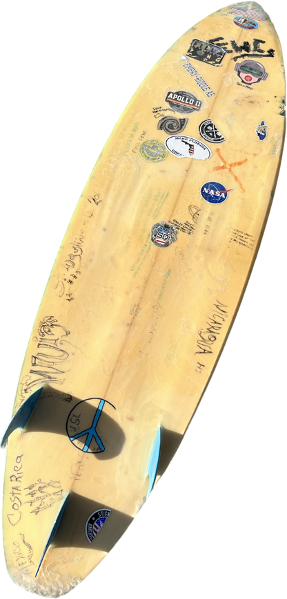 New Creations - Squash Tail (6'2" x 19" x 2.5")
