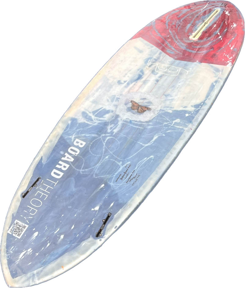Palindrone Plug (5'10" x 20.25")