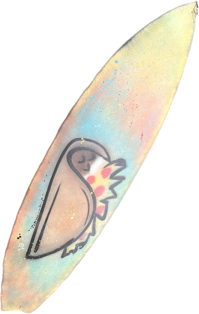 TORQ (5'9.5" x 20.25" x 2.375")